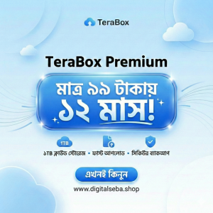 TeraBox Premium
